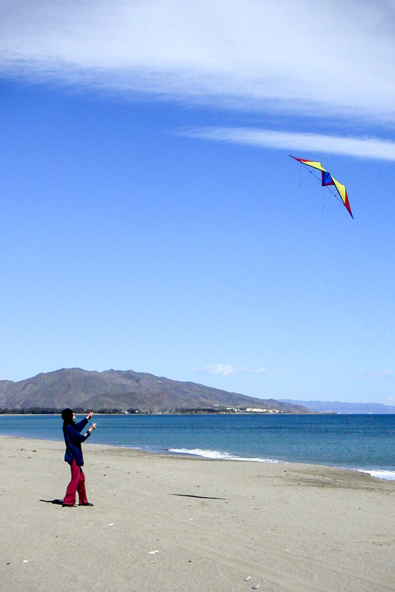 2025. FEBRERO. TEMA: 